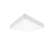 61003672 - LED Plafon łazienkowy EGON LED/30W/230V IP44 4000K