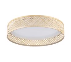 Eglo 900464 - LED Plafon LUPPINERIA LED/24W/230V
