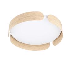 Eglo 99622 - LED Plafon VALCASOTTO LED/24W/230V