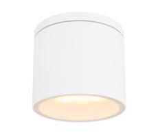Globo 32063W - Plafon zewnętrzny ALCALA 1xGX53/11W/230V IP44