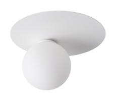 Lampa sufitowa ARGON 1xG9/12W/230V biała
