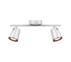 LED oświetlenie punktowe 2xLED/5W/230V 3000K białe