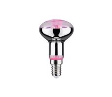 LED Żarówka do wzrostu roślin GROW ZIELONY R50 E14/4W/230V - Paulmann 28734