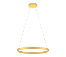 Redo 01-2865 - LED Żyrandol ściemnialny na lince FEBE LED/37W/230V złoty