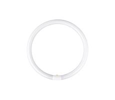 Świetlówka kołowa YH G10q/38W/230V 4000K - Fulgur 03043