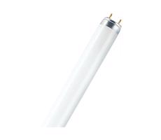 Świetlówka T8 G13/15W/55V 4000K 45 cm - Osram